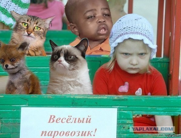 РЖД нас всех ещё удивят...