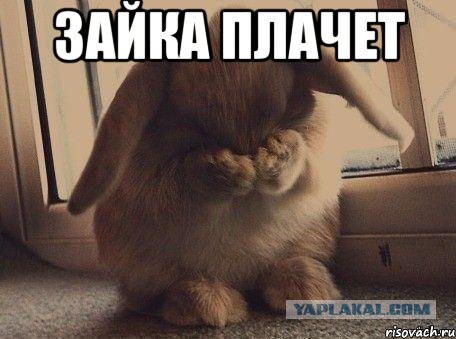 Зайка Плачет Картинки