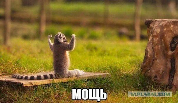 Картинки из инета