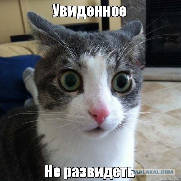 О тараканах в женских головах. Часть 2