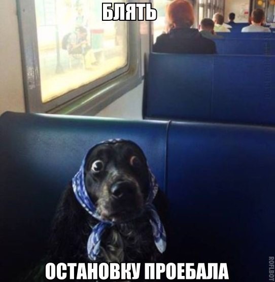 Плюшкиным посвящается