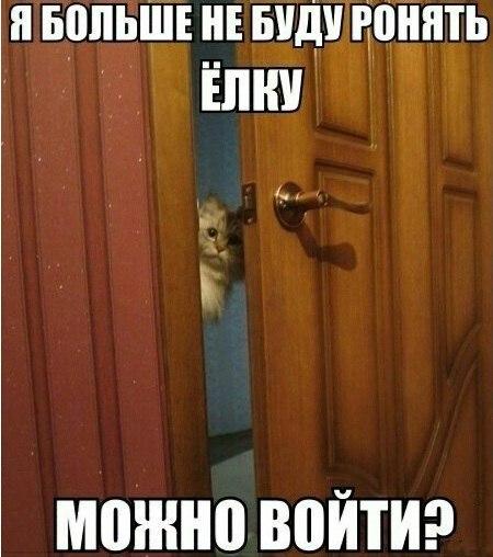 Позитив на воскресенье