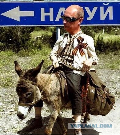Курс доллара перевалил за 80 рублей