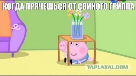 Веселые картинки