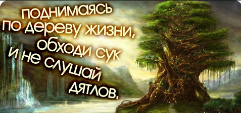 Дятел долбит дупло