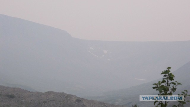 Они живые. Они смотрят на нас!