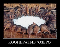 Правильная путинская приватизация