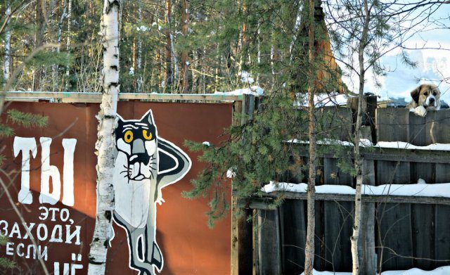 50 приколов по-русски
