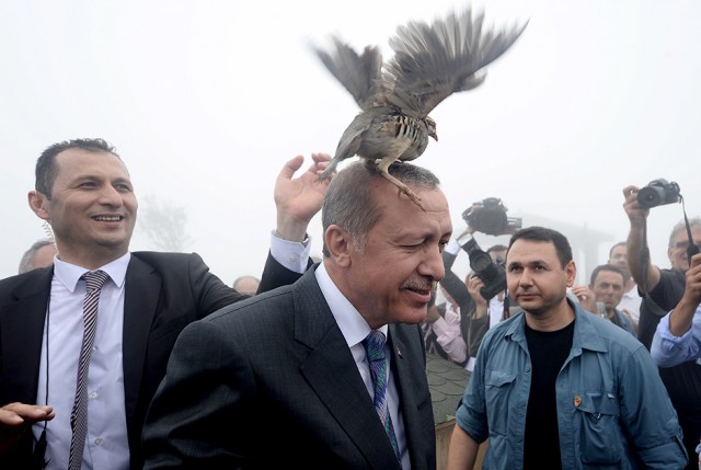 Немного политических карикатур