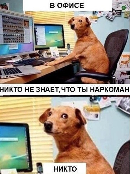 Абсурдная субботница