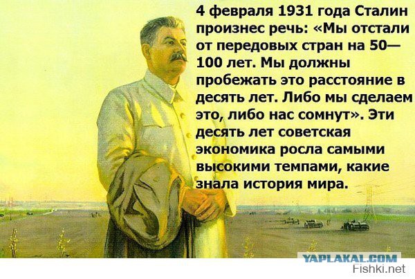 Без слез не взглянешь. Обращение к президенту