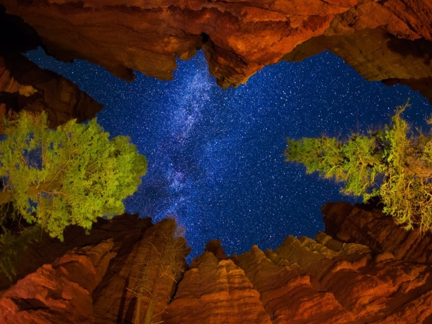 Подборка интересных и прикольных картинок