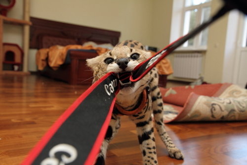 Подборка интересных и смешных картинок