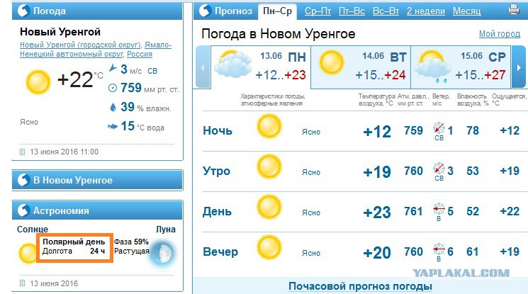 Погода На Новый 2024