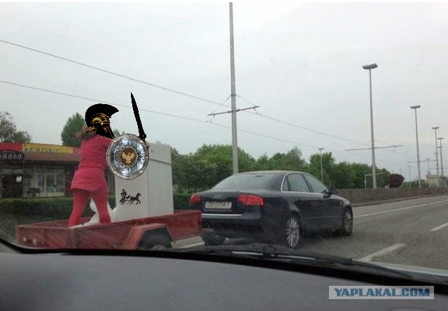 Адовый трэш и тупизм на начало недели
