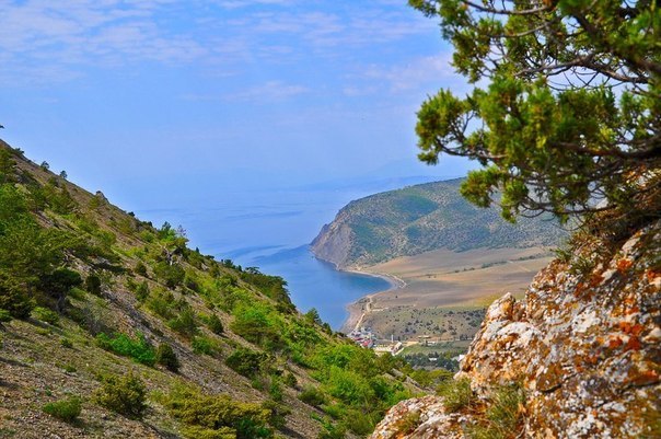 Моменты, запечатлённые на фото и просто позитив 5