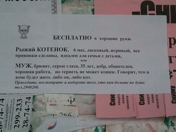 Подборка летних приколов