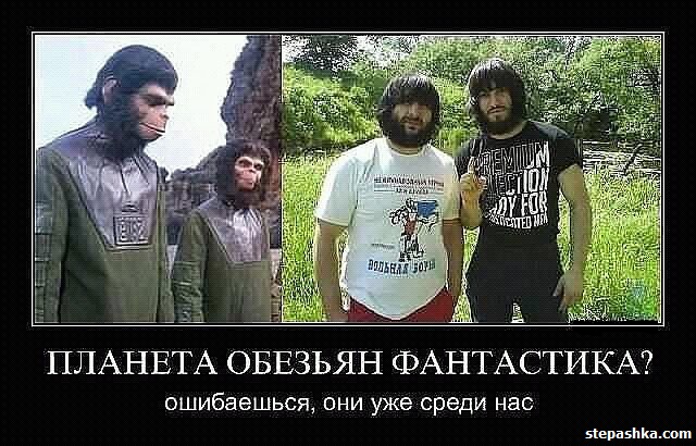 Правда жизни