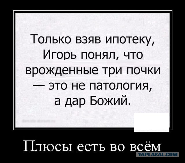 49 забавных картинок