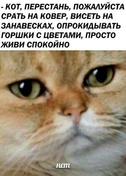 Приколы в стиле "регресс"