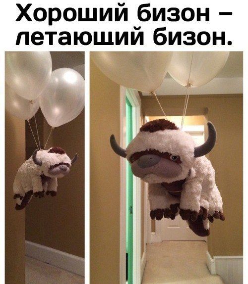 Подборка интересных и веселых картинок
