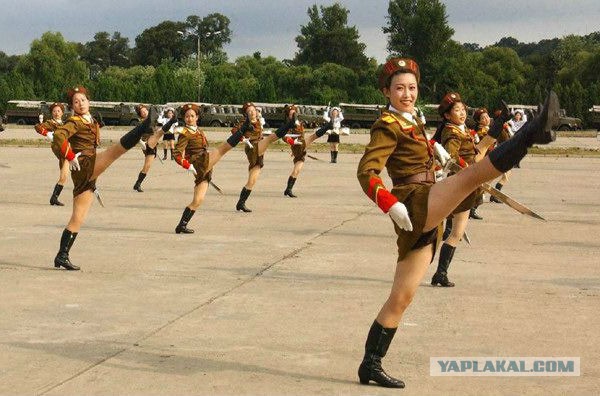 Красивые кореянки