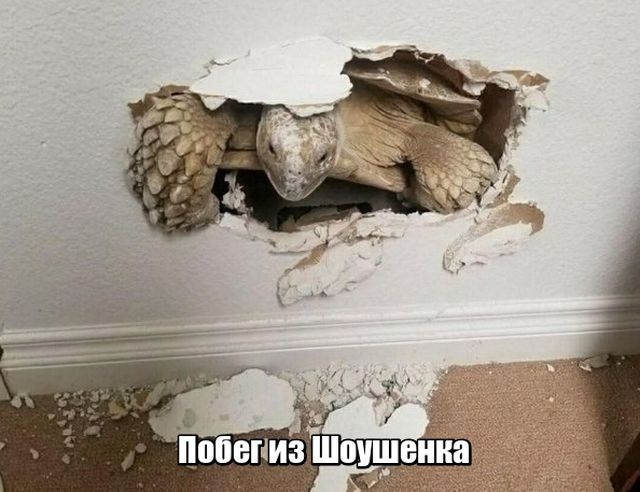 Временный пост. Всякое-разное