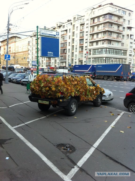 Осенний тюнинг