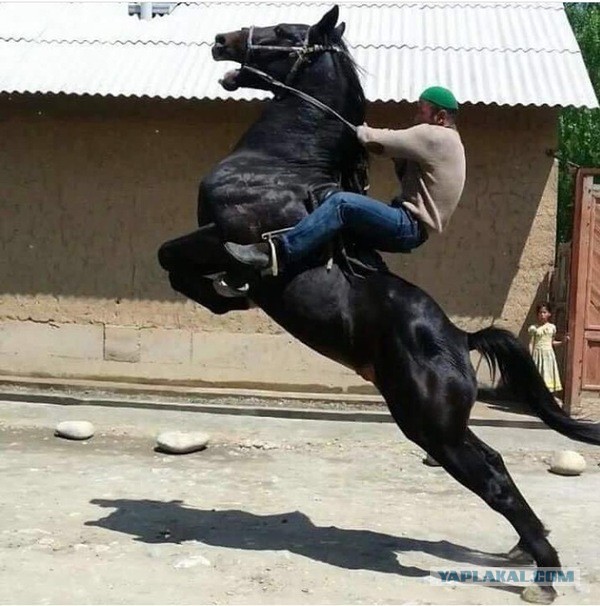 Чудики из социальных сетей