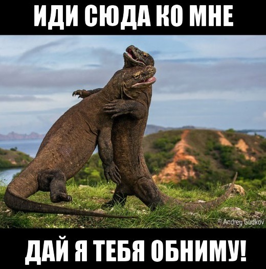 Визит командования ВВС Израиля в Москву продлился… 21 минуту.
