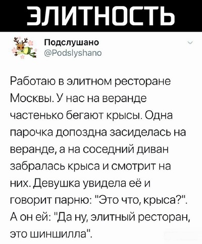 Прикольные комментарии и высказывания из Сети