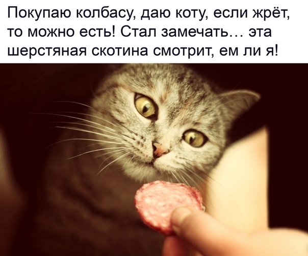 Борщ из картинок, людей, приколов, чуток боянов и всякого такого