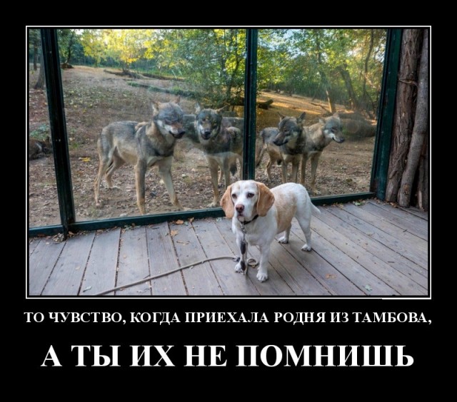 Демотиваторы про минутку доброты