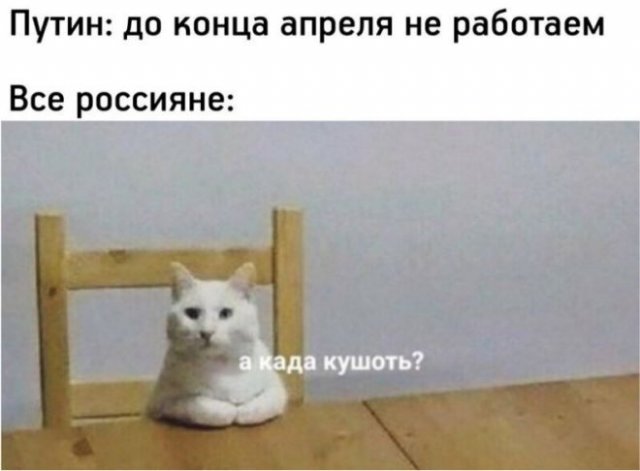 Пара-пара-пам! Фьють!