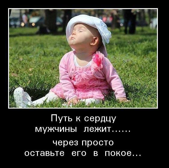 Так себе картинки 8