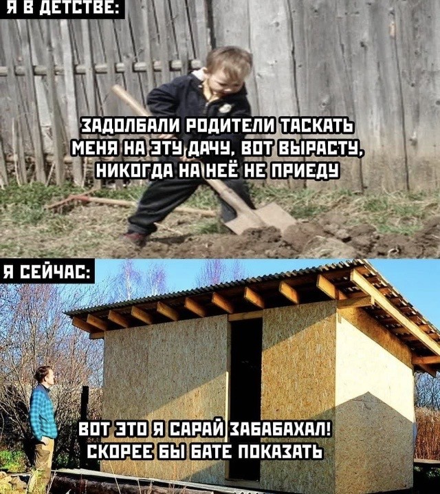 Юмор в картинках 20.07.20