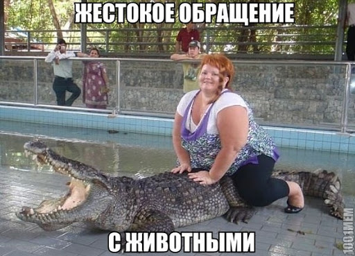 Не по зубам