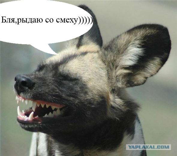 Страж