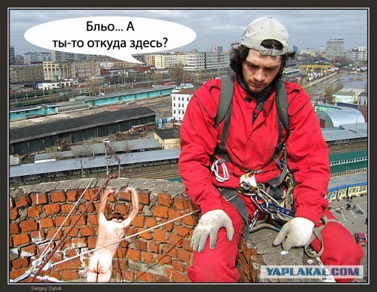 Битва фотожаберов (Команда №4), на набережной