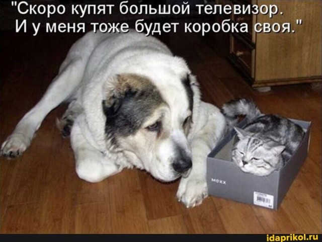 Немного картинок для настроения 28.10.20