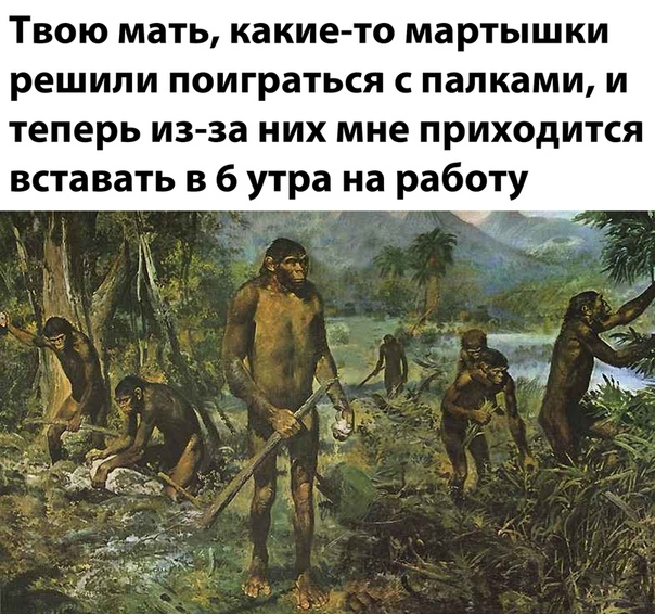 Немного картинок для настроения 18.11.20