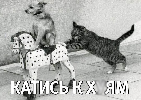 Арсенал новорега