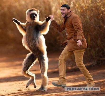 Фотожаба: Дискотека "Египет"