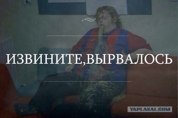 Симоньян призвала закрыть иностранные соцсети в России