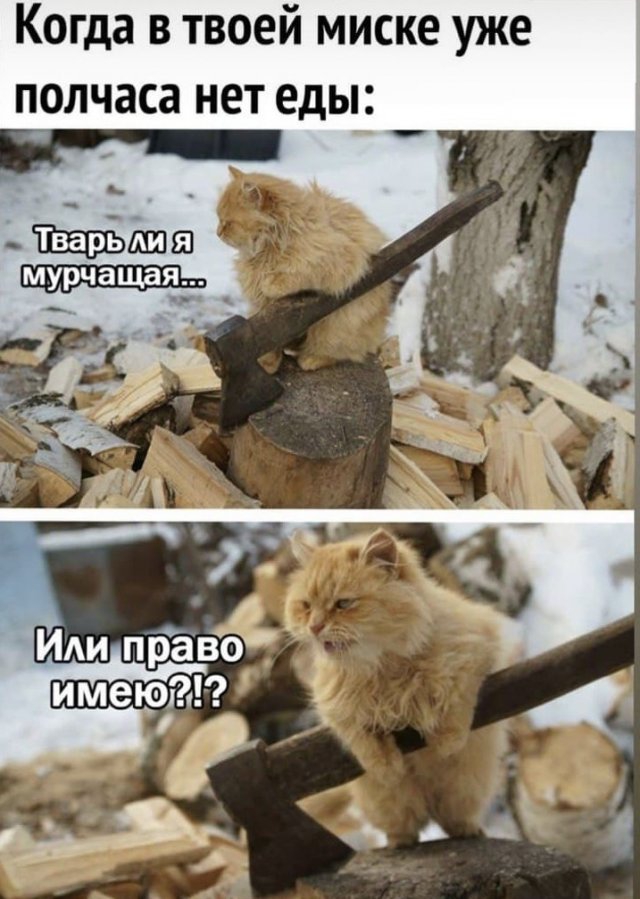 Картинки и мемы для настроения 012