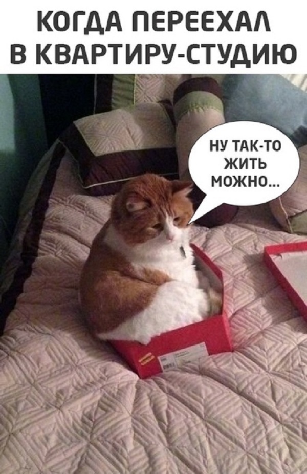 Картинки с надписями и всякие жизненные фразы 17.03.21