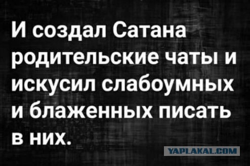 «Что меня бесит»: учитель — о том, как скандалят родители и из-за чего школу называют дурдомом на выезде