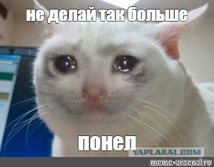 Новое Эхо Дождя