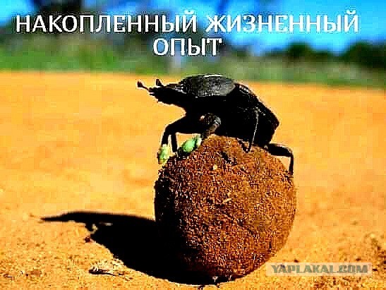 Голикова предложила объявить с 30 октября по 7 ноября нерабочие дни
