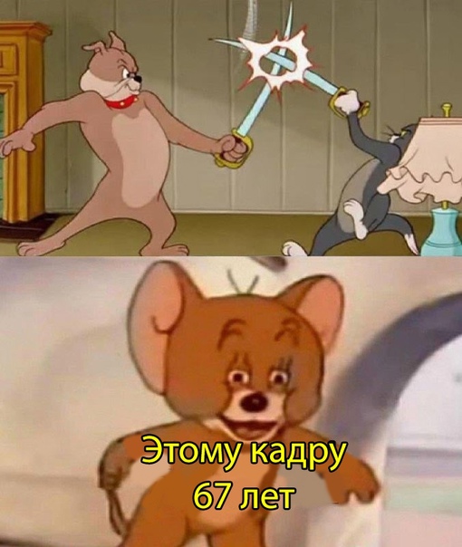 Весёлый полтишок 02.11